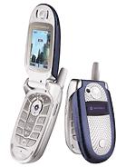 Motorola V560