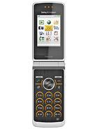 SonyEricsson TM506