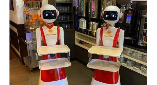 Холандски ресторан „вработил“ роботи за пречек и послужување гости