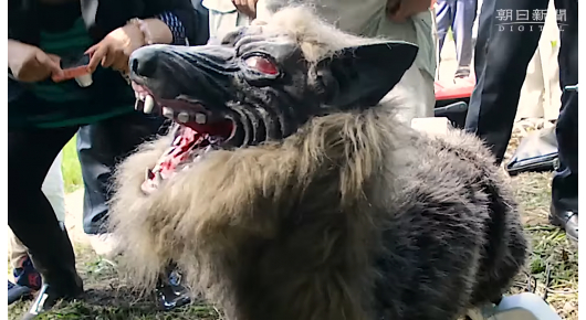 Роботи волци чуваат имоти во Јапонија за да штитат од мечки