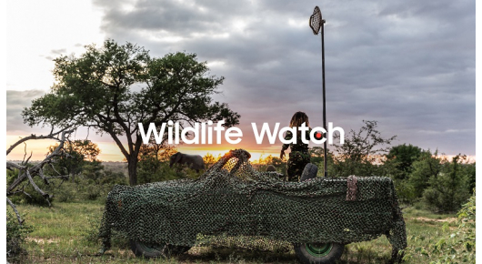 Станете виртуелен ренџер и зачувајте ги загрозените животински видови во африканската савана
