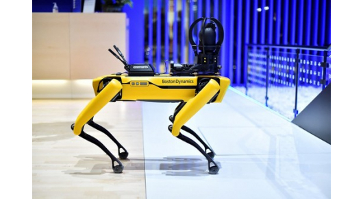 Сингапурските роботи го дополнуваат недостатокот на работници