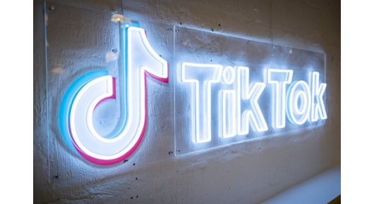 TikTok го забрани и Белгија за деловни телефони